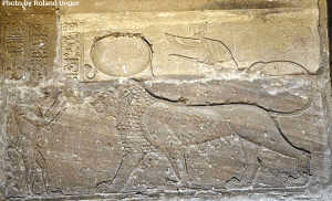 005b-ww-tefnut-unger
