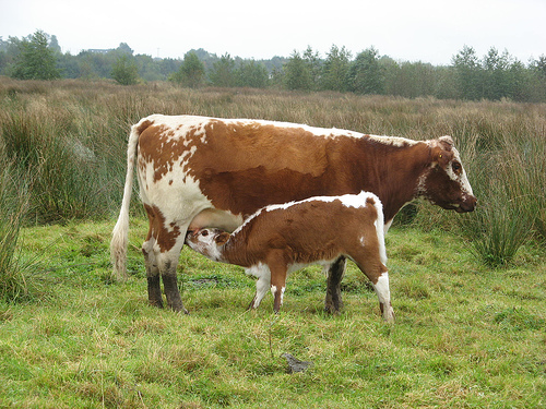 1560757782_302a1c6a35