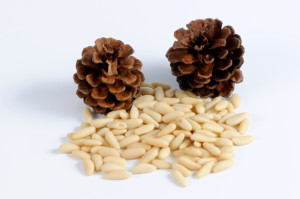 Pine Nuts