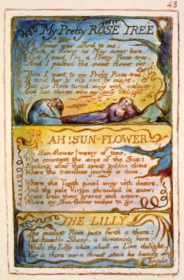 Songs_of_Innocence_and_of_Experience,_copy_AA,_1826_(The_Fitzwilliam_Museum)_object_43_My_Pretty_Rose_Tree