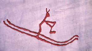 Helleristning fra Rødøy. FOTO JAN GREVE; SCANPIX