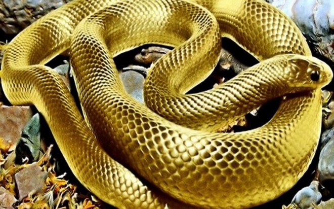 687783-1440x900-desktopnexus-com